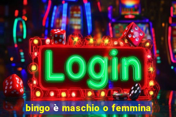 bingo è maschio o femmina