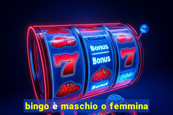 bingo è maschio o femmina